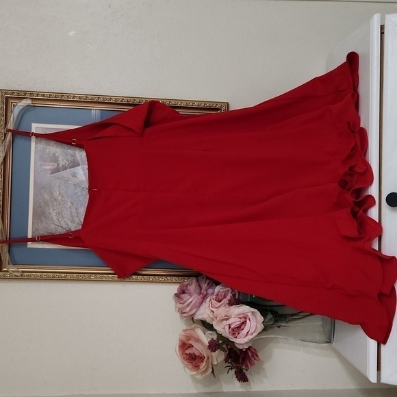 Romantic Red Sleeveless Mini Dress XXL Date Night Y2K Concert Party - Picture 9 of 12